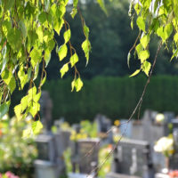 Cemetery scene