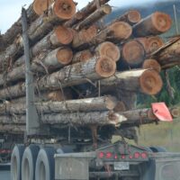 logs, tree trunks,  transportation,  industry, truck,